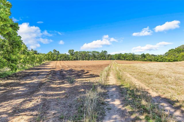 2364 Alabama River Parkway, Millbrook, AL 36054