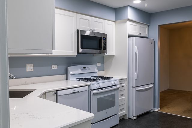 225 Lake Boulevard 531, Buffalo Grove, IL 60089