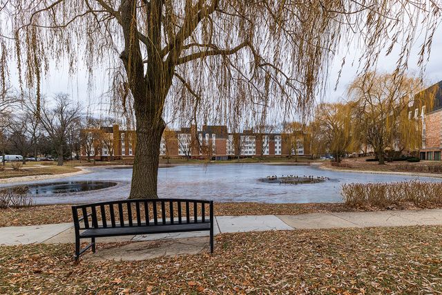 225 Lake Boulevard 531, Buffalo Grove, IL 60089