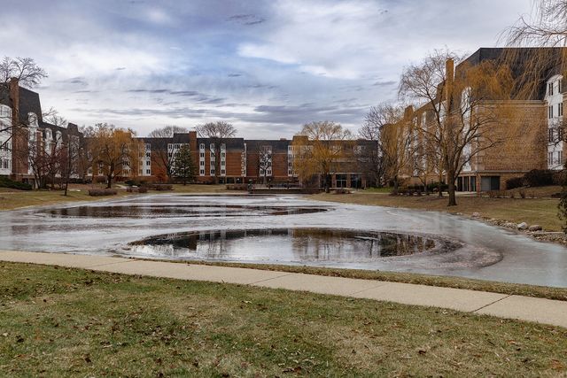 225 Lake Boulevard 531, Buffalo Grove, IL 60089