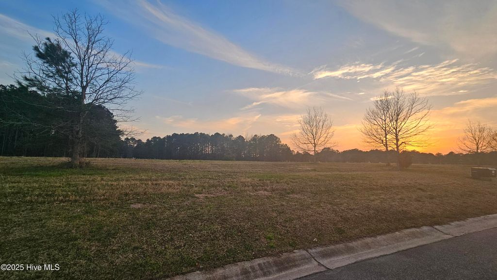 178 Sycamore Lakes Drive, Wallace, NC 28466