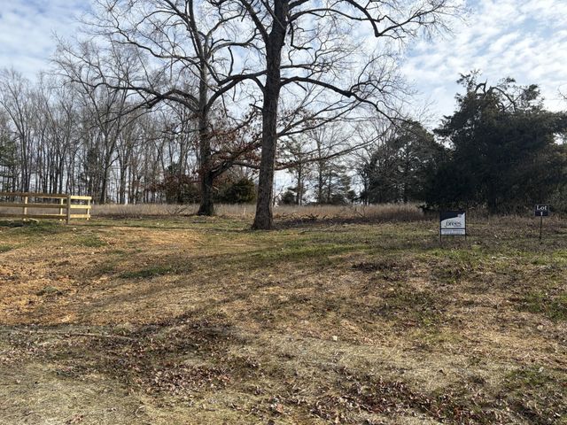 3200 Hunziker Lane, Fairview, TN 37062