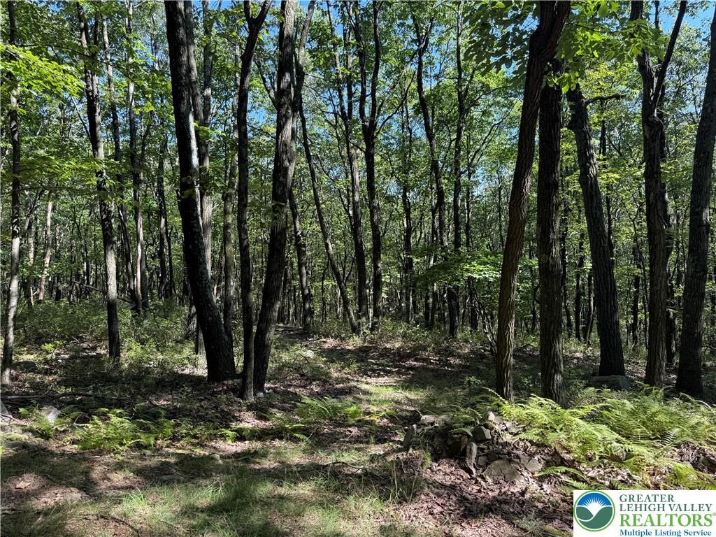 14 Berry Run Drive, Penn Forest Twp, PA 18229