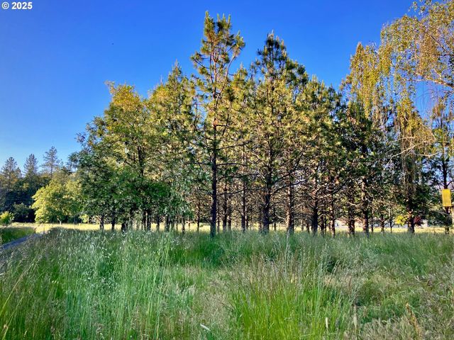 1445 WHISTLERS Ln, Roseburg, OR 97470