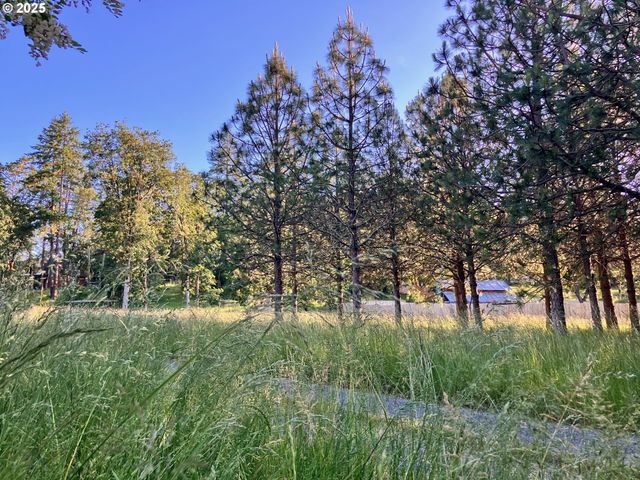 1445 WHISTLERS Ln, Roseburg, OR 97470