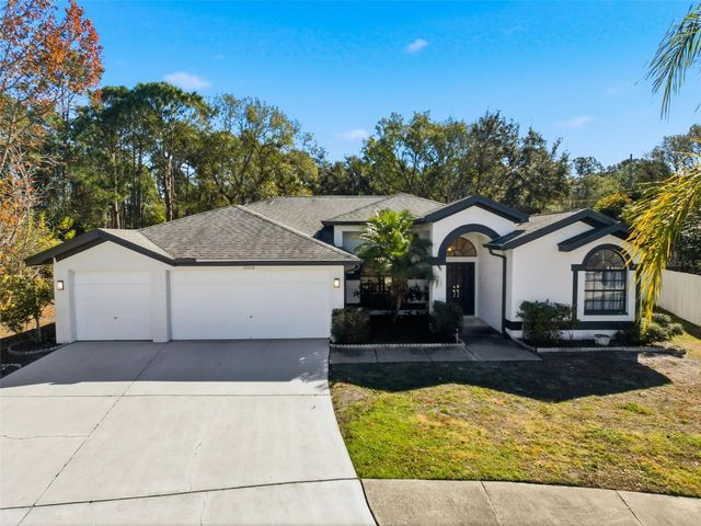 10006 VISTA POINTE DRIVE, Tampa, FL 33635