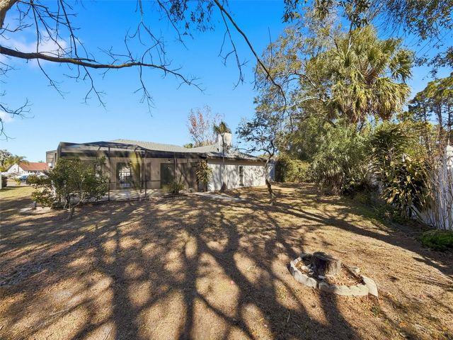 10006 VISTA POINTE DRIVE, Tampa, FL 33635