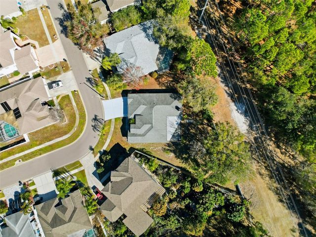 10006 VISTA POINTE DRIVE, Tampa, FL 33635