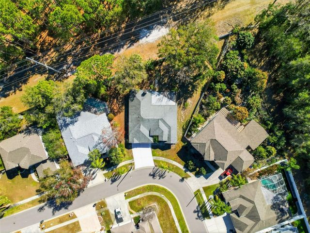 10006 VISTA POINTE DRIVE, Tampa, FL 33635