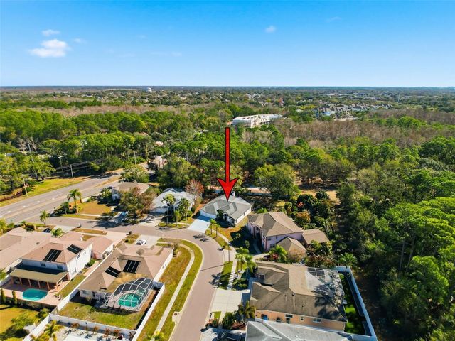 10006 VISTA POINTE DRIVE, Tampa, FL 33635
