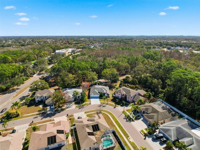 10006 VISTA POINTE DRIVE, Tampa, FL 33635