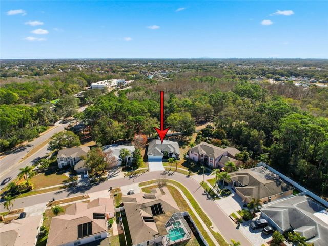 10006 VISTA POINTE DRIVE, Tampa, FL 33635