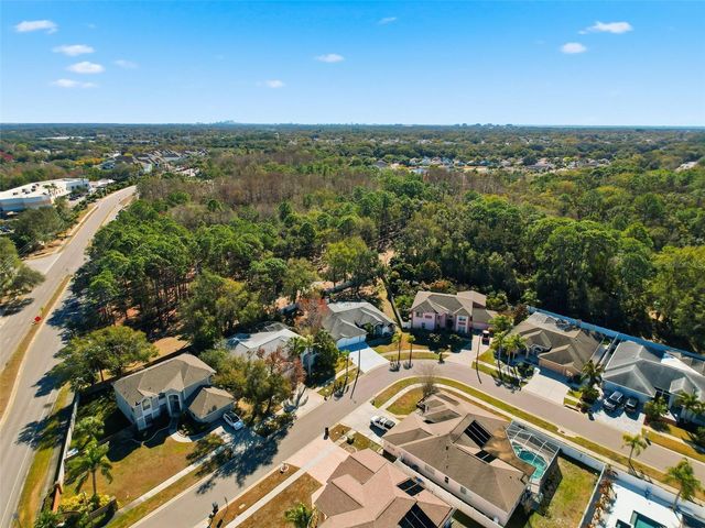 10006 VISTA POINTE DRIVE, Tampa, FL 33635