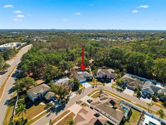 10006 VISTA POINTE DRIVE, Tampa, FL 33635