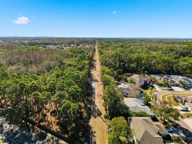 10006 VISTA POINTE DRIVE, Tampa, FL 33635