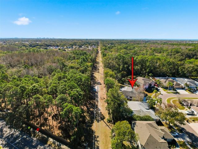 10006 VISTA POINTE DRIVE, Tampa, FL 33635