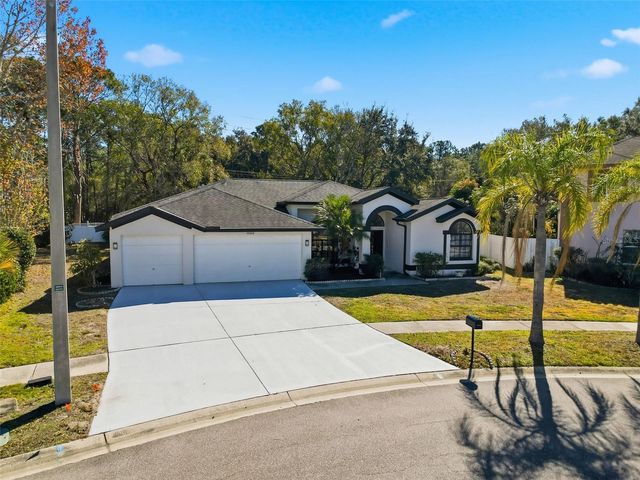 10006 VISTA POINTE DRIVE, Tampa, FL 33635