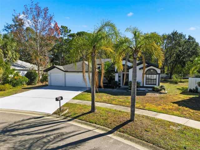 10006 VISTA POINTE DRIVE, Tampa, FL 33635