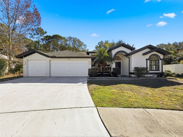 10006 VISTA POINTE DRIVE, Tampa, FL 33635