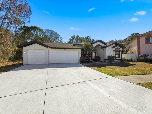 10006 VISTA POINTE DRIVE, Tampa, FL 33635