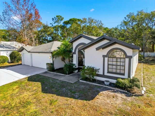 10006 VISTA POINTE DRIVE, Tampa, FL 33635