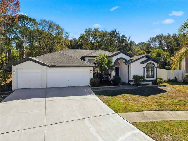 10006 VISTA POINTE DRIVE, Tampa, FL 33635