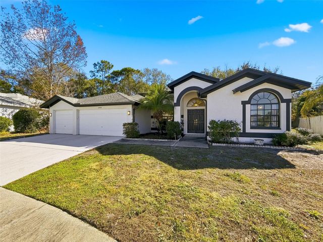 10006 VISTA POINTE DRIVE, Tampa, FL 33635