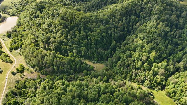 Tract 15 Lewis & Collins Farm, Manchester, KY 40962