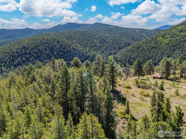 134 Hurricane Hill Dr, Nederland, CO 80466