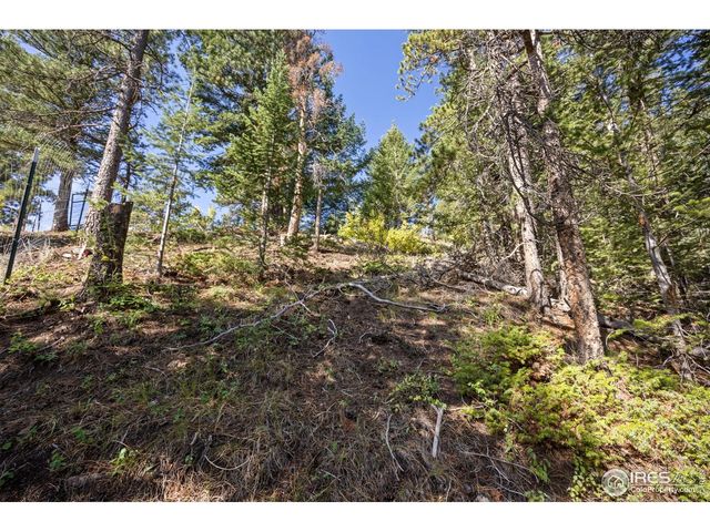 134 Hurricane Hill Dr, Nederland, CO 80466