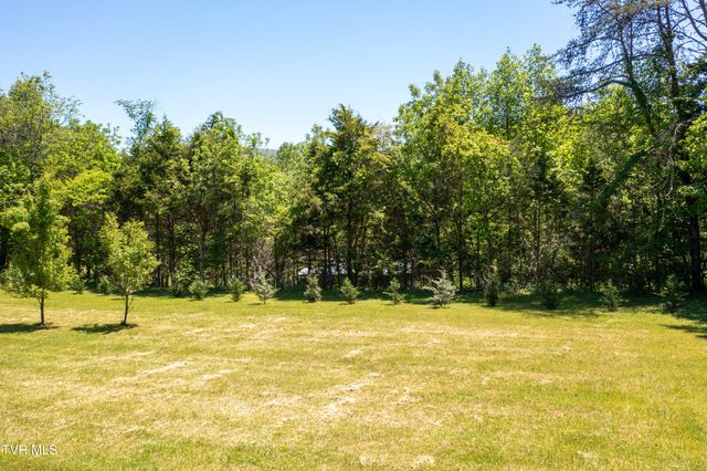 882 Walnut Grove Road, Bluff City, TN 37618