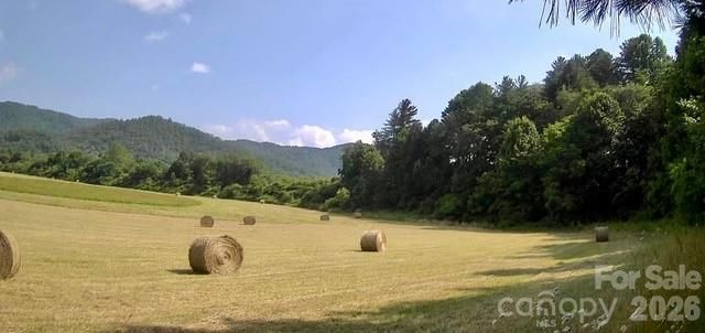 Mini Farm 2 TBD Coventry Drive, Brevard, NC 28712
