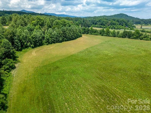 Mini Farm 2 TBD Coventry Drive, Brevard, NC 28712
