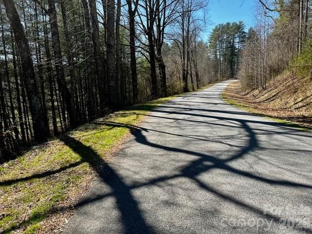 Mini Farm 2 TBD Coventry Drive, Brevard, NC 28712
