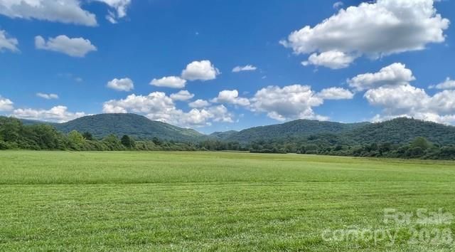 Mini Farm 2 TBD Coventry Drive, Brevard, NC 28712
