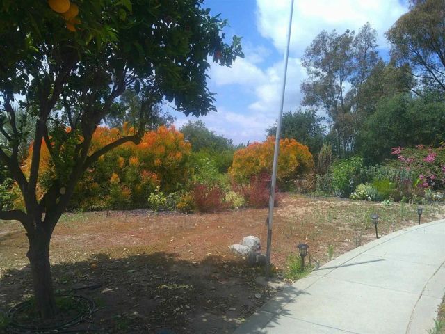 1534 Linda Street, Fallbrook, CA 92028