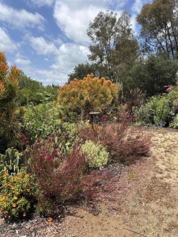 1534 Linda Street, Fallbrook, CA 92028