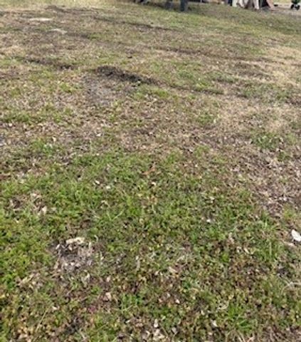 S40 - 20 3 ORR 0.069 ACRE Ash Street, Ferris, TX 75125