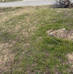 S40 - 20 3 ORR 0.069 ACRE Ash Street, Ferris, TX 75125