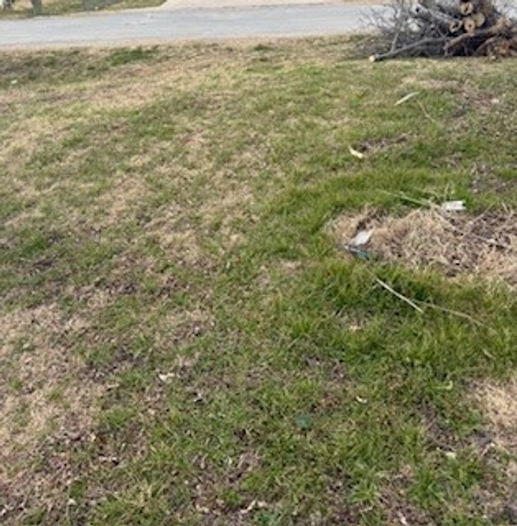 S40 - 20 3 ORR 0.069 ACRE Ash Street, Ferris, TX 75125