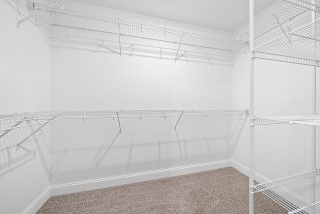 370 Cardinal Creek, Clarksville, TN 37040