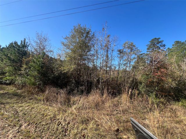 TBD Shenandoah Lane, Livingston, TX 77351