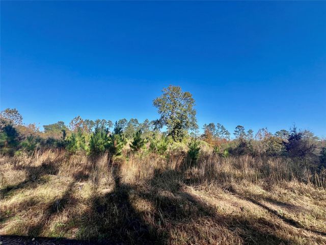 TBD Shenandoah Lane, Livingston, TX 77351