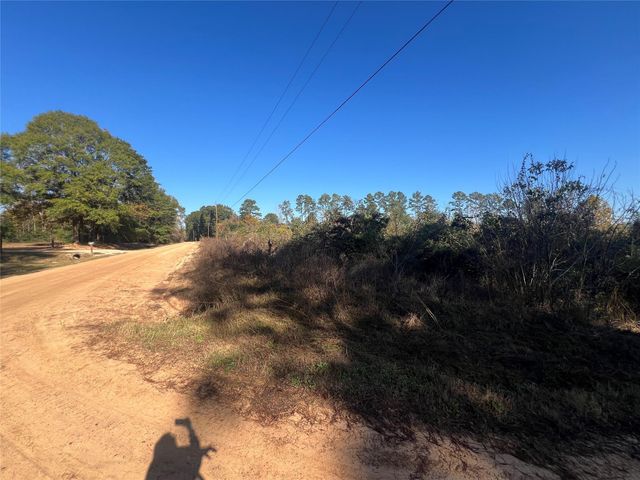 TBD Shenandoah Lane, Livingston, TX 77351