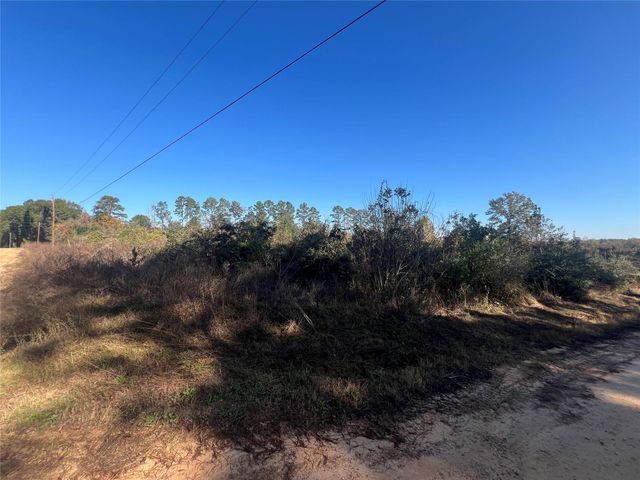 TBD Shenandoah Lane, Livingston, TX 77351