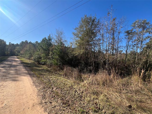 TBD Shenandoah Lane, Livingston, TX 77351