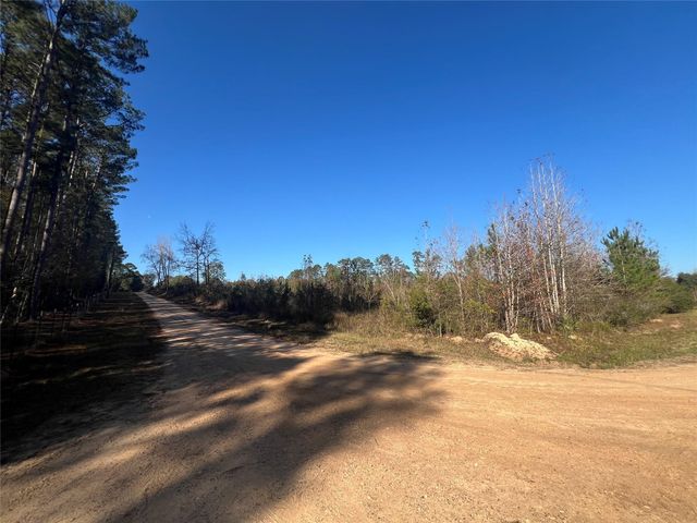 TBD Shenandoah Lane, Livingston, TX 77351