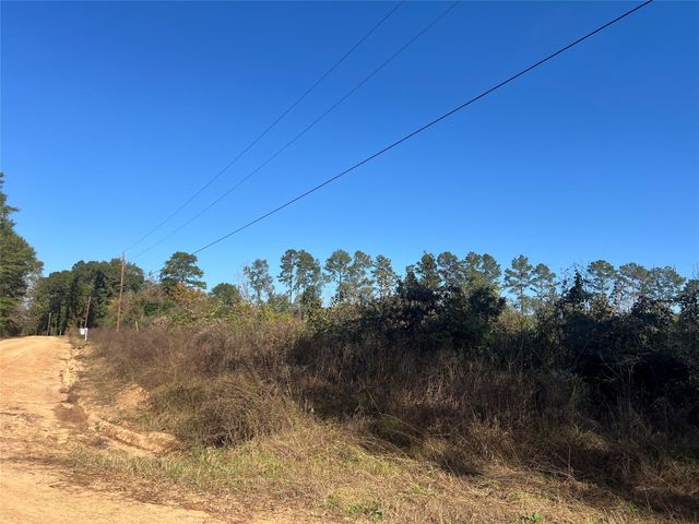 TBD Shenandoah Lane, Livingston, TX 77351