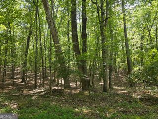 0 Cobb Mountain Road, Buchanan, GA 30113