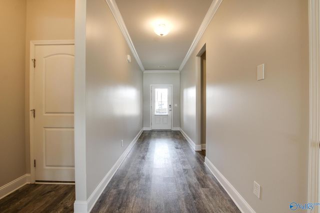 24228 Ransom Spring Drive, Athens, AL 35613